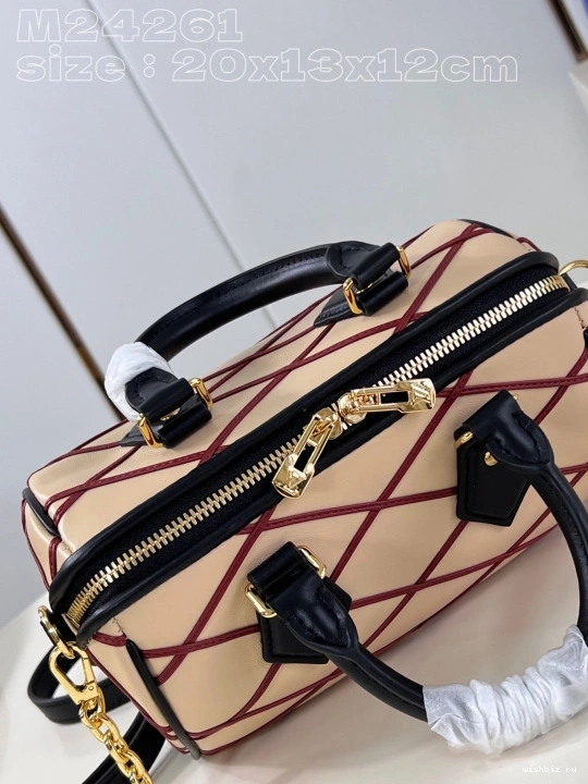 WIS VUITTON BANDOULIÈRE SPEEDY 20 LOUIS 0307